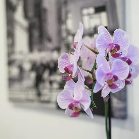 Guestready - Never Say Never