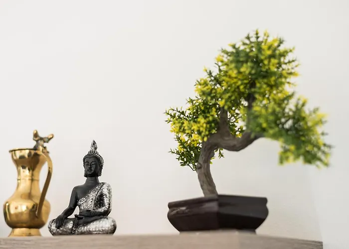 Guestready - Never Say Never * Senhora da Hora